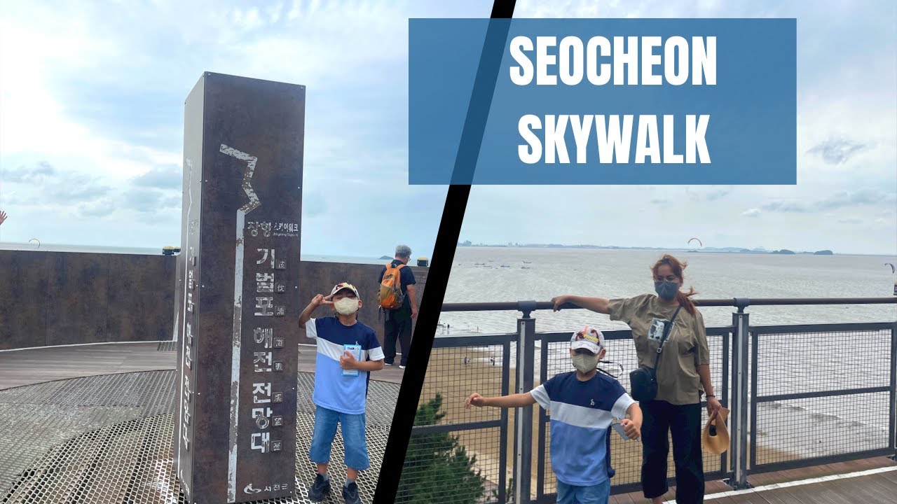 Travel Korea vlog | Seocheon Skywalk