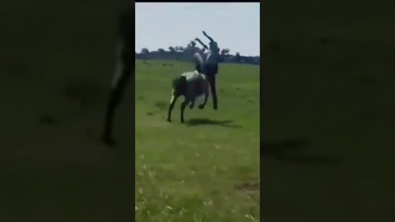 Horse In Bad Mood#Shorts #🦄🦄
