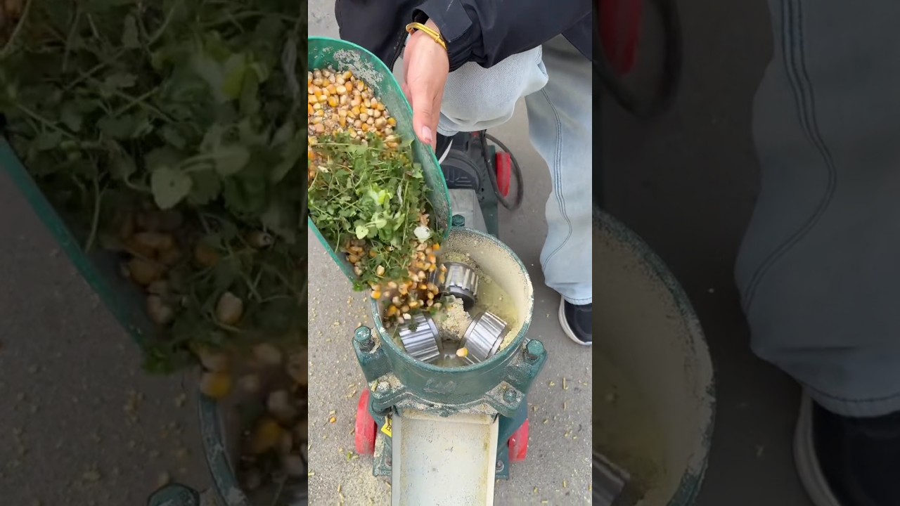 Corn Crusher Machine for Poultry & Cattle Feed Maize Grinder Demo #corncrusher #farmequipment #viral