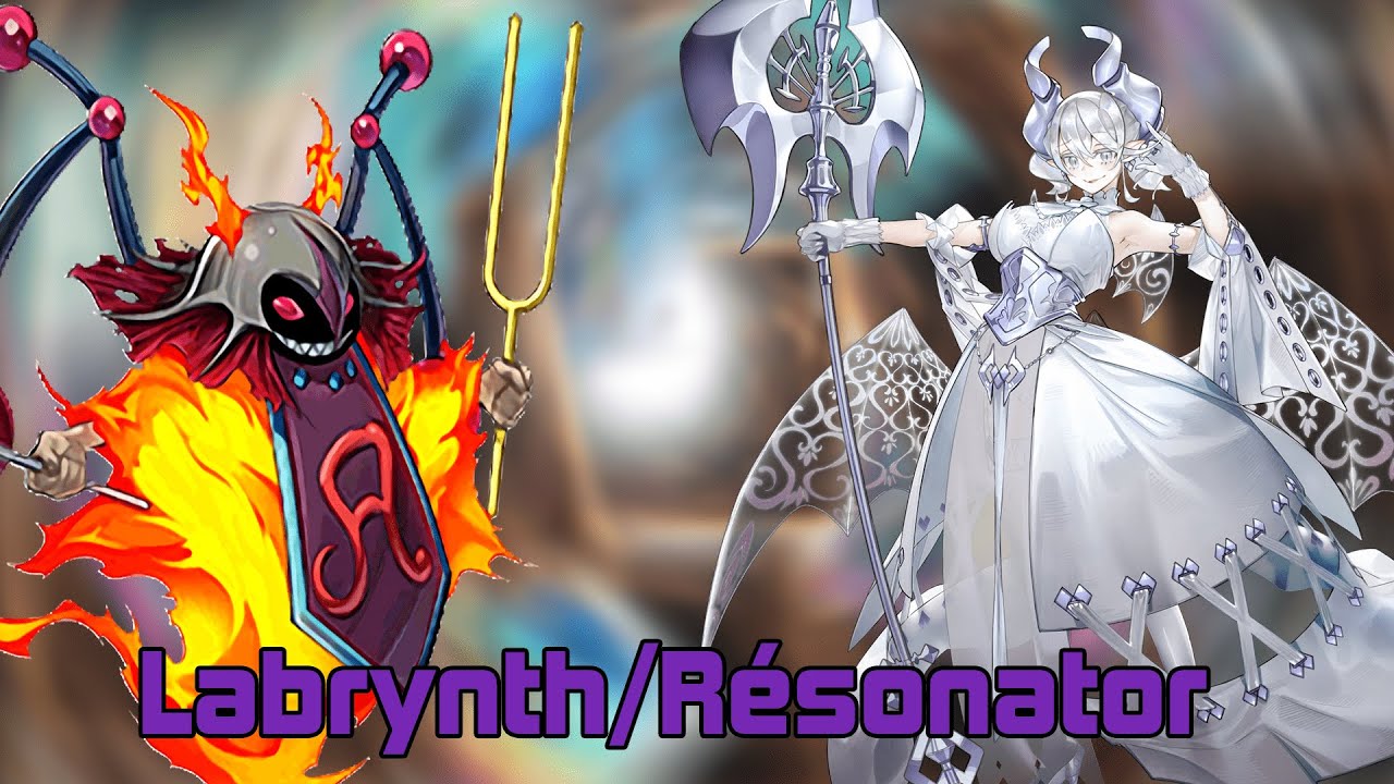 Deck Profile Labrynth résonator
