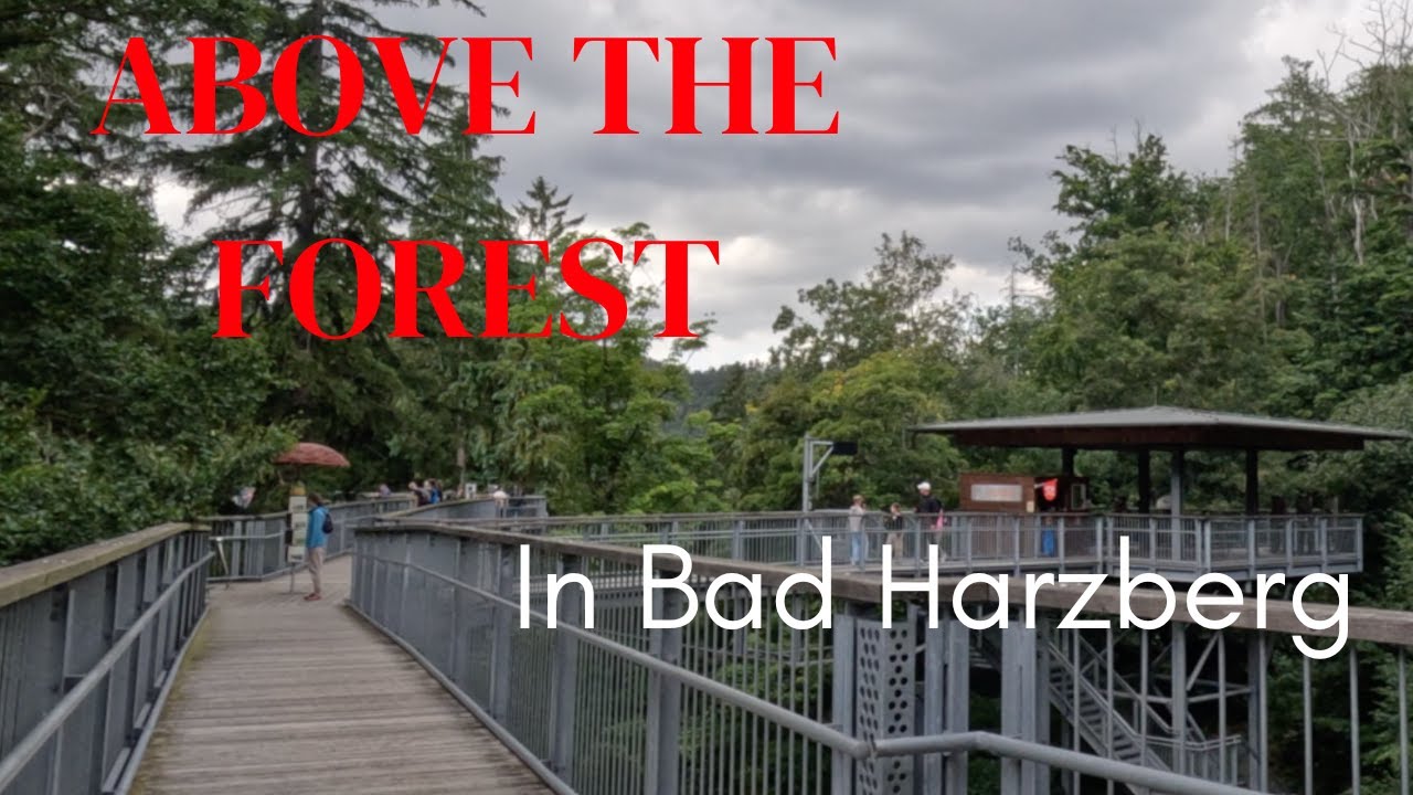 Forest Trails and Treetop Walks - Discovering Beautiful Bad Harzberg