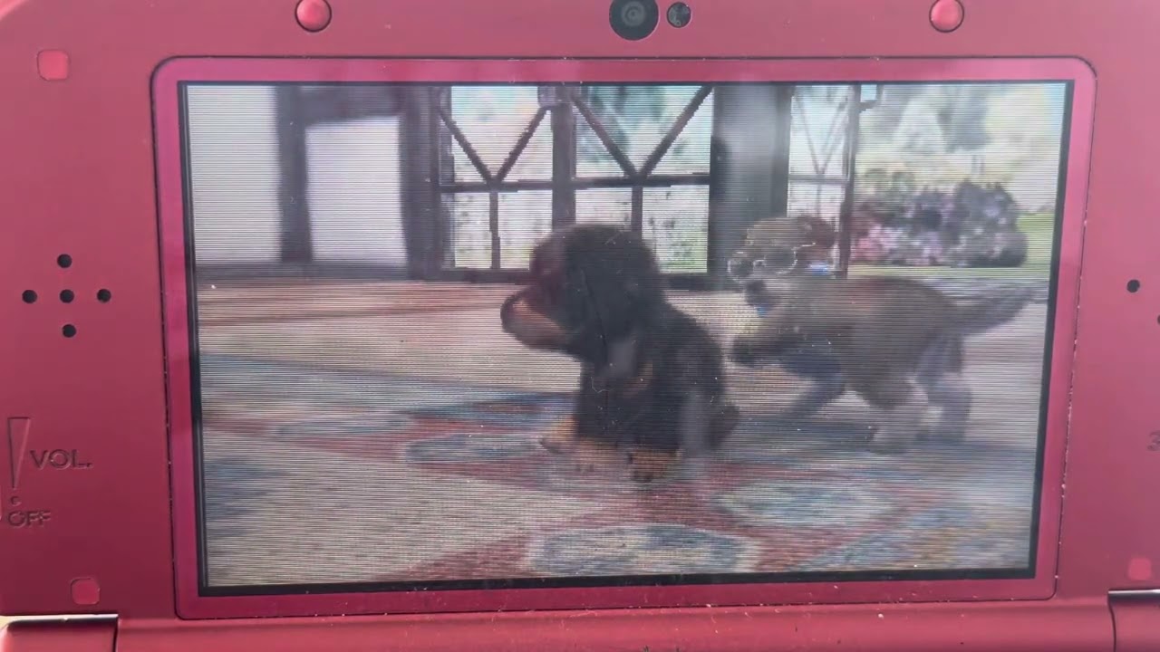 Nintendogs + Cats GRv#5: Meet Tyson!
