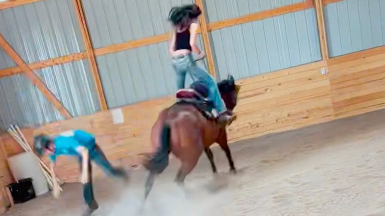 Is This A KIDS Horse or a RODEO Bronc?