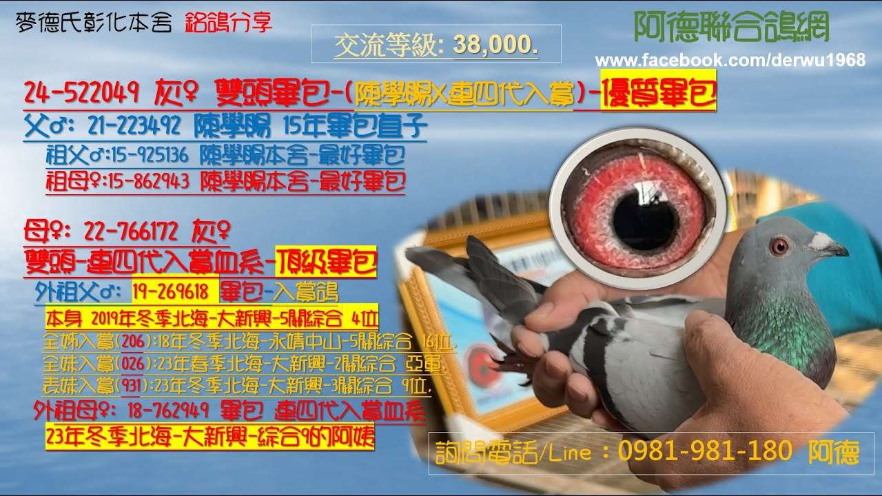 24-522049 灰♀ 雙頭畢包-(陳學賜X連四代入賞)-優質畢包 交流等級: 38,000.
