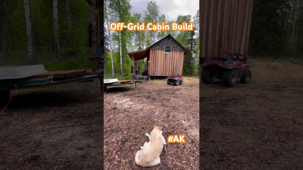 Bunkhouse cabin build is OFFICIALLY UNDERWAY 🔨    #alaska #cabin #offgrid #build #diy #tinyhouse