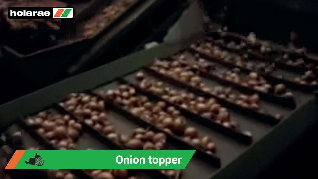 -holaras- AS 25-enclosure Uienafstaarter / Oniontopper / Zwiebel-entk&ouml;pfmaschine