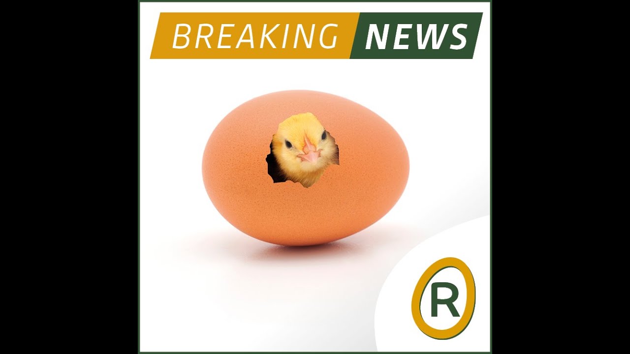 Rondeel; uitkomst in de stal!