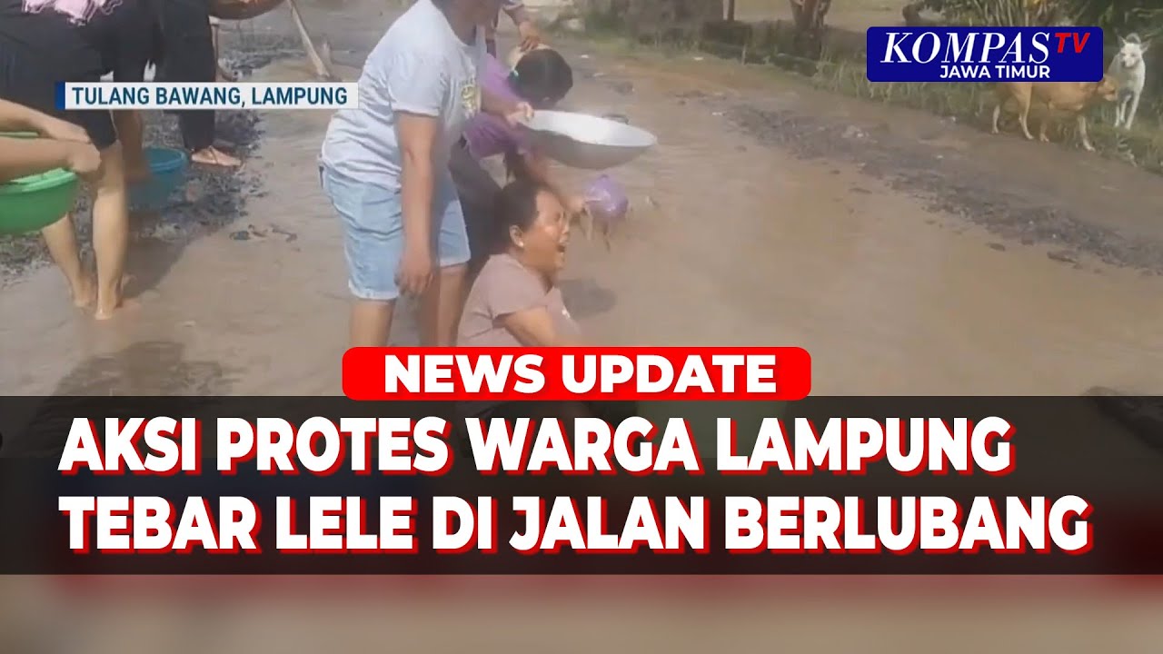 Aksi Protes Warga di Lampung, Tebar Lele di Jalan Berlubang