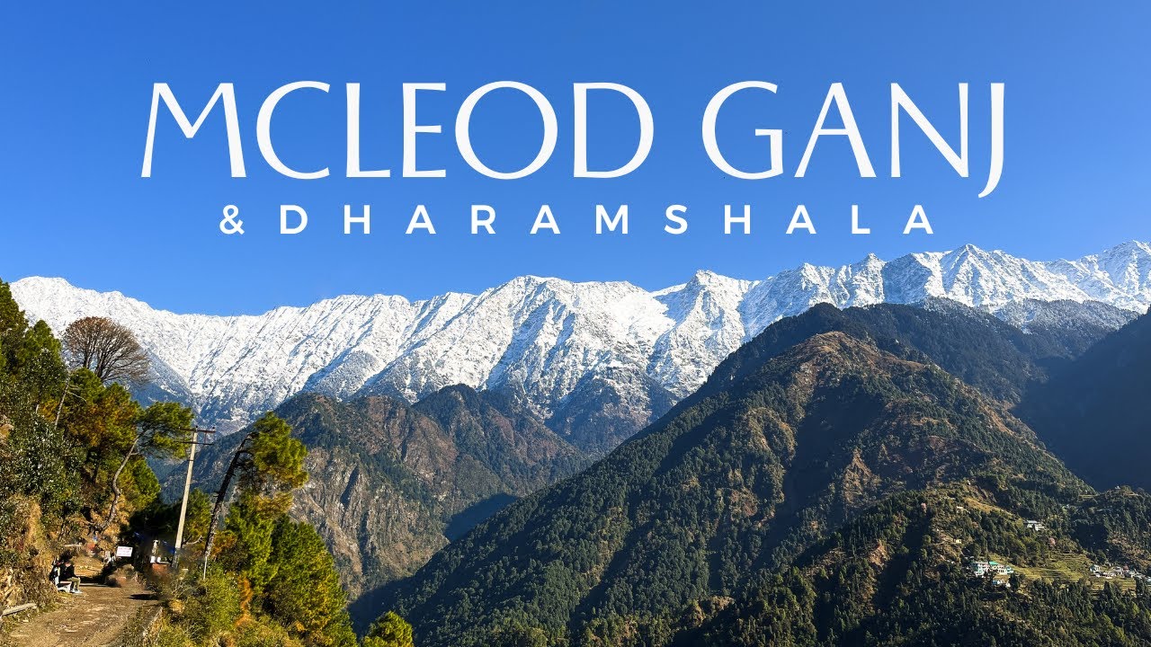 Mcleodganj|Dharamshala| টুরিস্ট স্পট, হোটেল ও বাজেট। হিমাচল প্রদেশ। নর্থ ইন্ডিয়া। বাংলা
