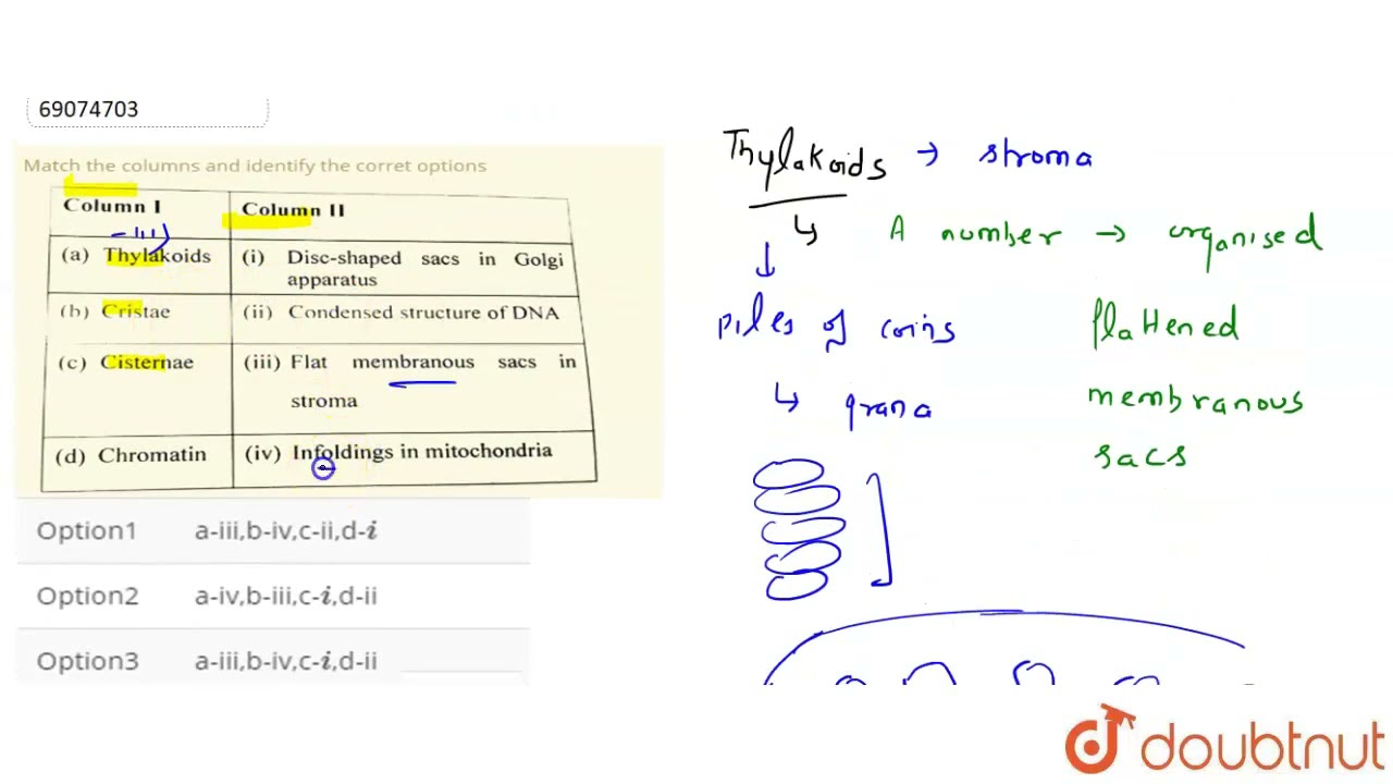 Match the columns and identify the corret options  | 12 | NEET | BIOLOGY | NEET PREVIOUS YEAR (Y...