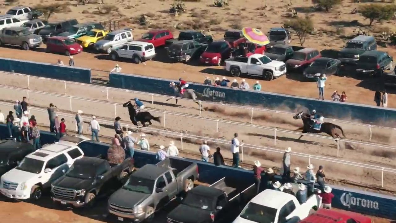 Carreras de Caballos en Zacatecas-Bulica Cuadra Lucero-Abierto a 100v