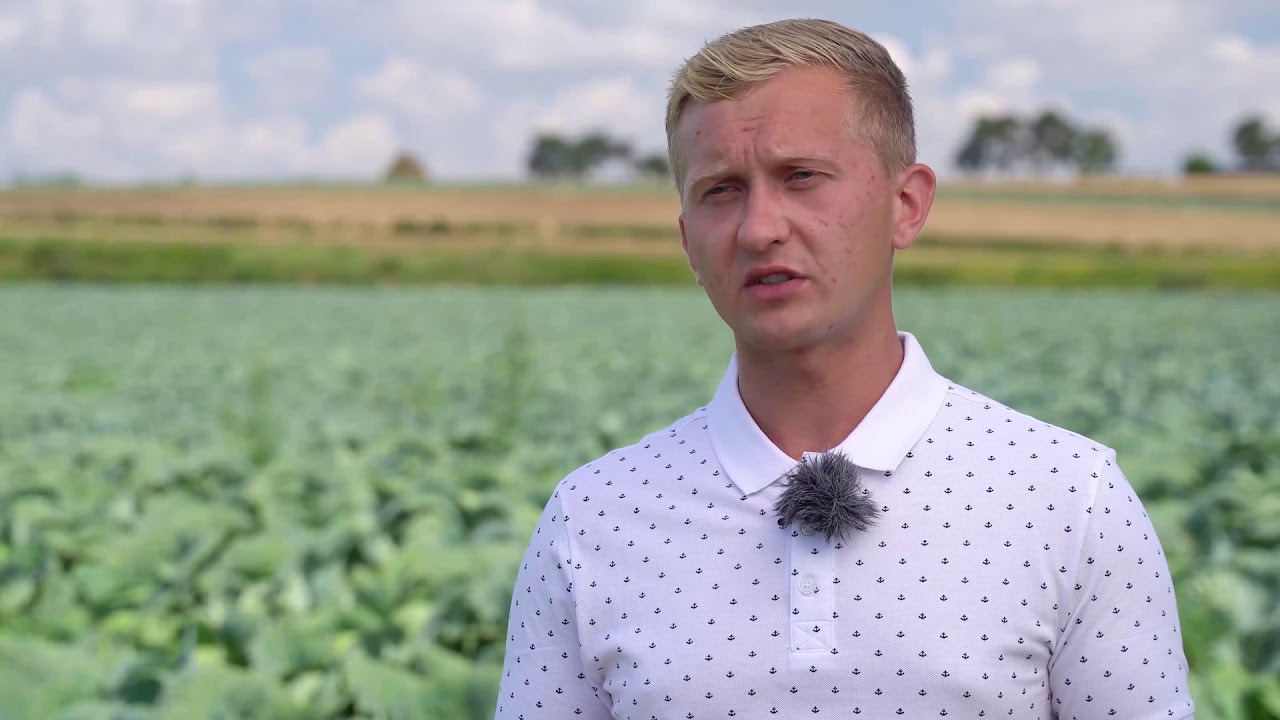 Rolnicy, doradcy i przetwórcy o Verimark®  - Szczere opinie prosto z pola