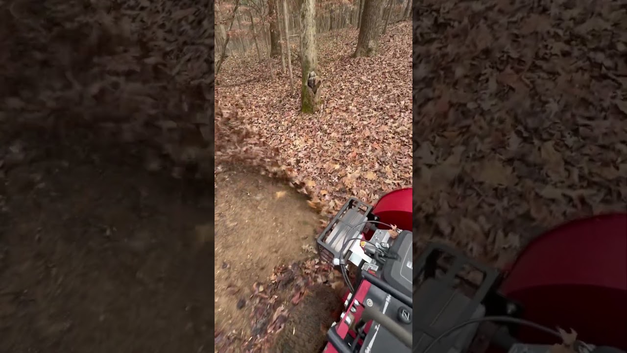 Clearing the pathways for the disc golf course with the Ferris FB1000🍁 #landscapers