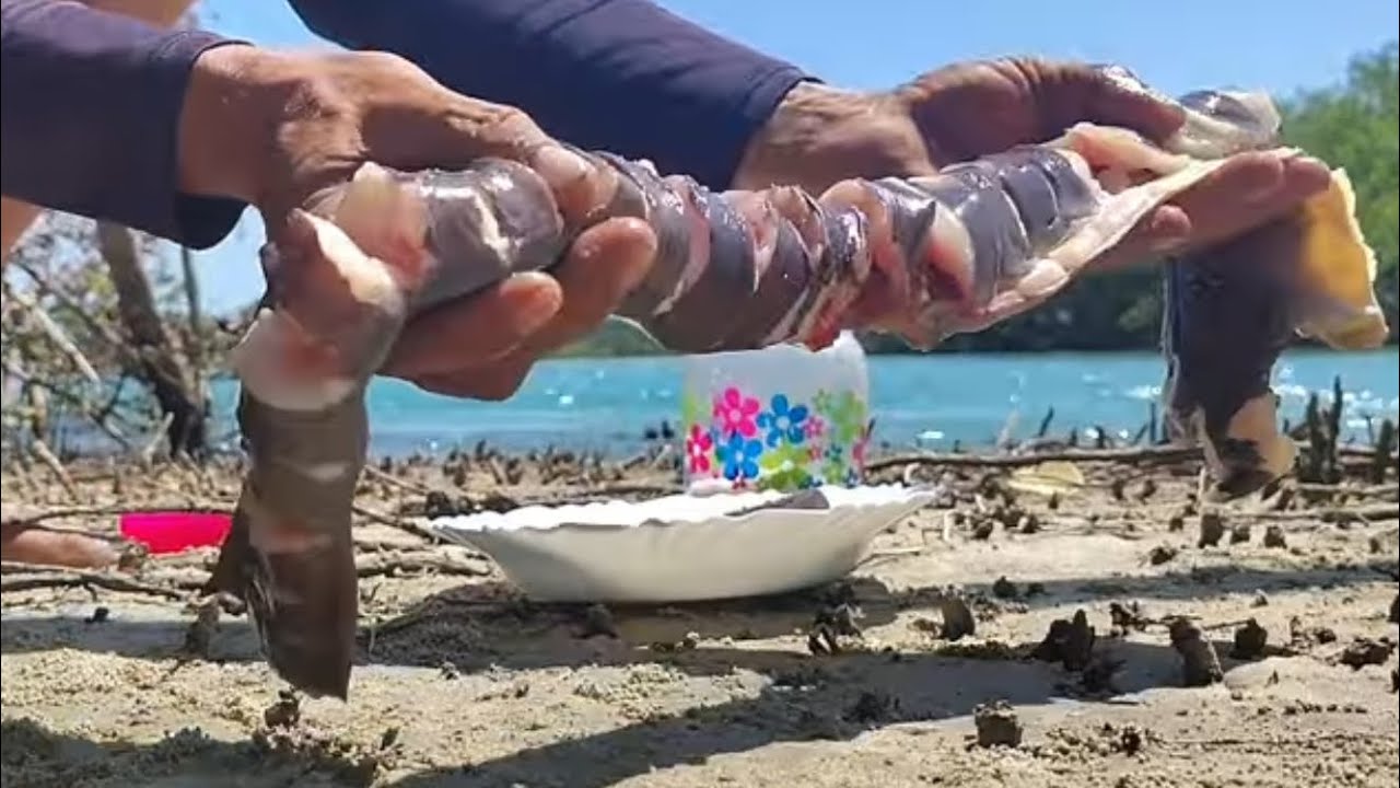 MOREIA FRITA NA NOSSA AVENTURA DE HOJE !
