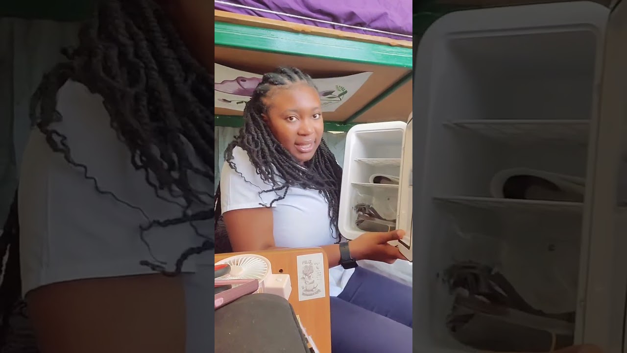 Mini Fridge Review