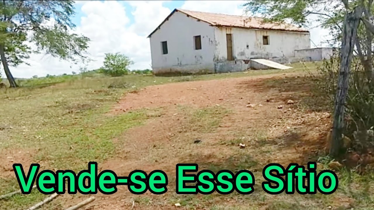 Sítio a Venda em Boqueirão-PB | ZAP (83) 99196-2846 | Valor Do sítio 60 Mil