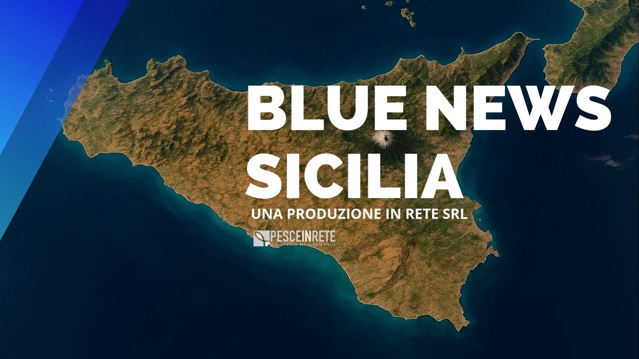 BLUE NEWS SICILIA  12