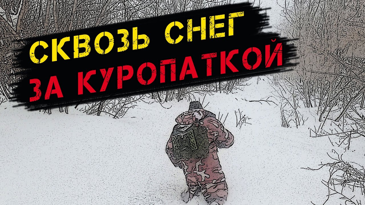 Выживание зимой! Петли на куропатку Рагу в фольге готовка на костре
