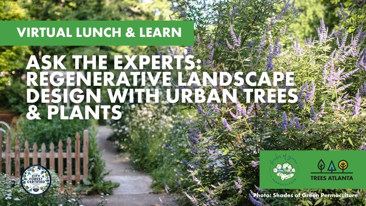 Regenerative Landscape Design with Native Trees & Plants