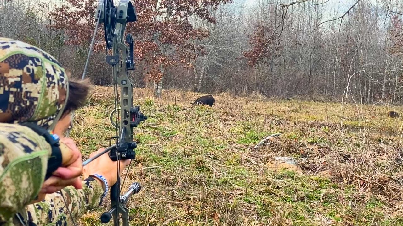 TOP 5 Hog Hunting Highlights of 2025! - ULTIMATE Wild Boar Bowhunting Compilation!