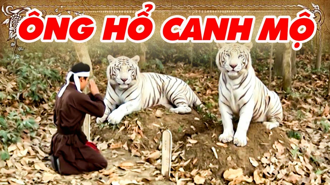 ÔNG HỔ CANH MỘ | CỔ TÍCH VIỆT NAM | CỔ TÍCH MỚI HAY NHẤT 2026 | CỔ TÍCH THVL