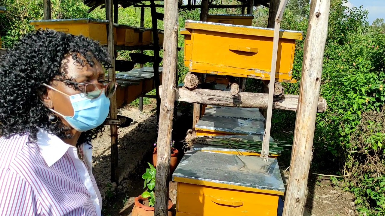 Kisumu City Investments: Apiyo Apiary 🐝🐝!