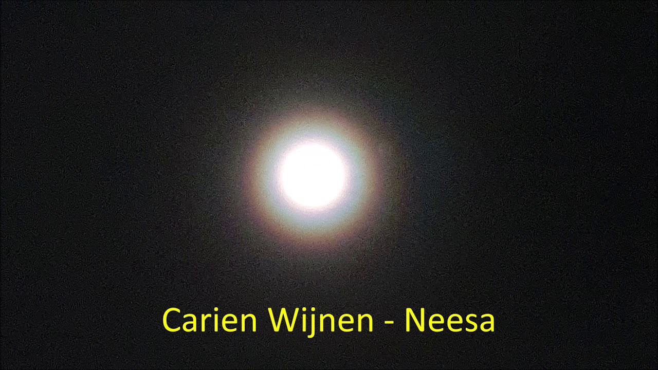 Neesa