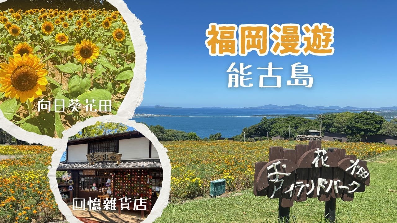 【福岡漫遊】能古島｜向日葵花田｜回憶雜貨店
