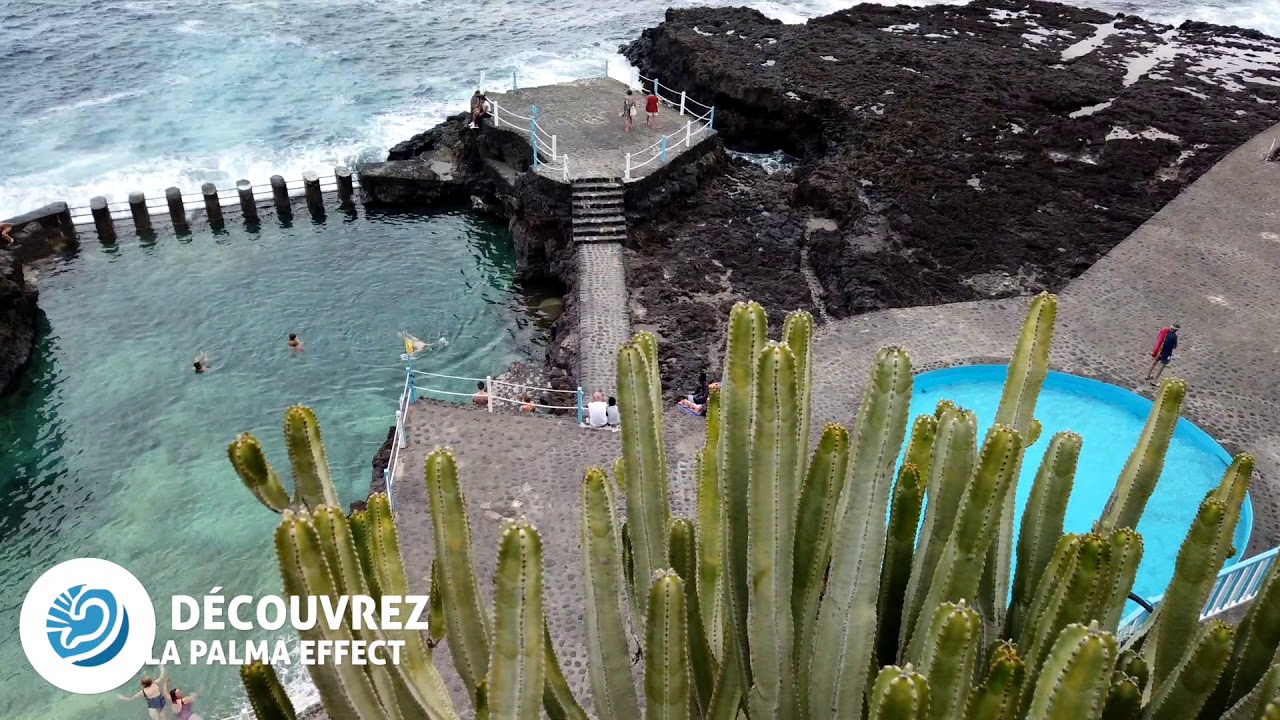 FR VISITLAPALMA