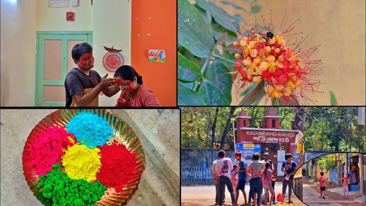 খেলবো হোলি রঙ দেবো না তাই কখনো হয় আমাদের দোল, ইচ্ছে সারাদিন গোটাপাড়া ঘুরে রঙ খেললো | Holi special