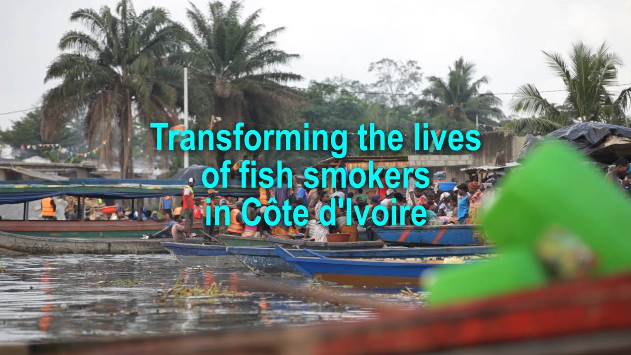 Transforming the lives of fish smokers in Côte d'Ivoire