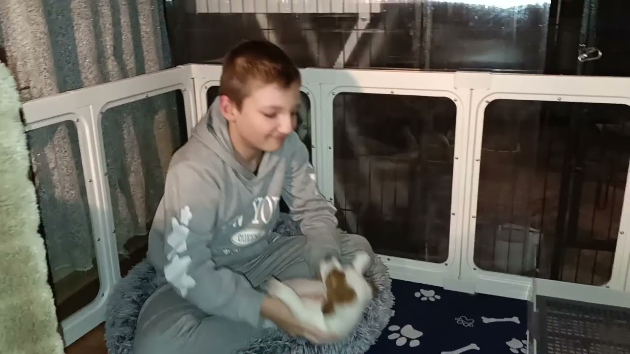 Последний вечер вместе 🫣