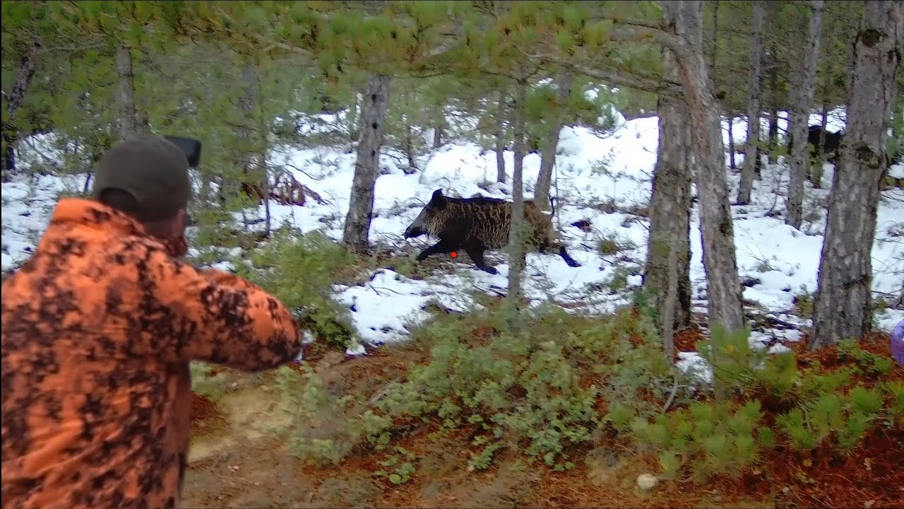 Karda yaban domuzu avı / Wildboar hunting #okaysahin #Sightmark #hugluveyron