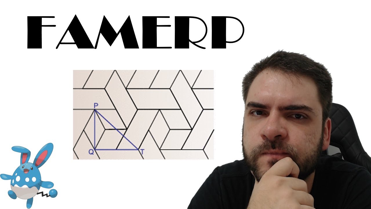FAMERP/2022 Um tapete em forma de mosaico é composto por paralelogramos não losangos, idênticos