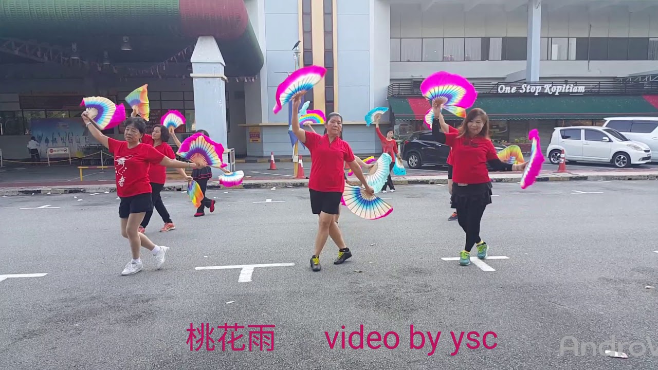 桃花雨(双扇舞)