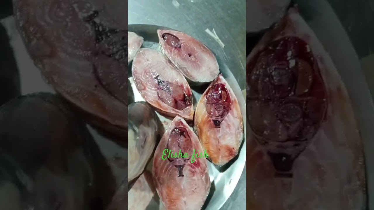 Elisha fish##bryani ##recipe ###biryanicooking ##foodie ####cooking ##