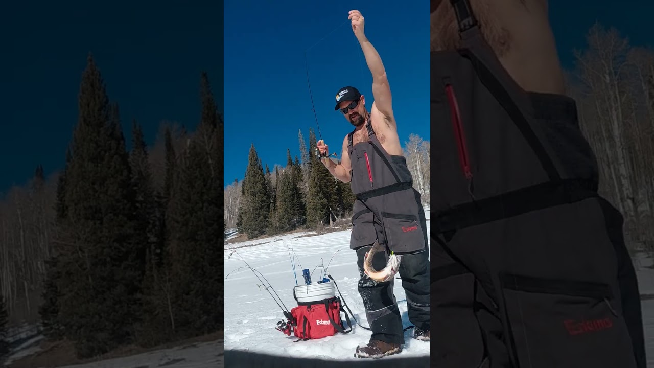 NON-STOP Splake ice  fishing 2026