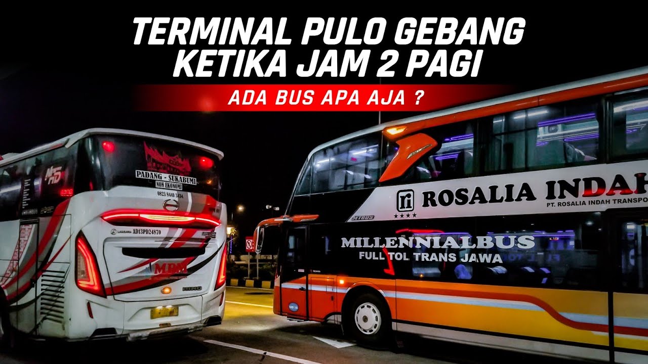 HUNTING BUS JAM 2 PAGI ❗KESERUAN BUS KEDATANGAN TERMINAL PULO GEBANG