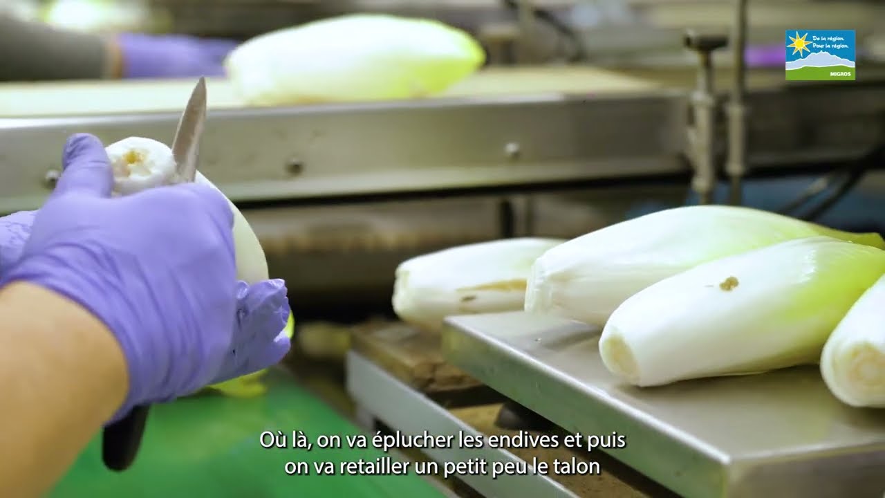Philippe Cornu, producteur d'endives 👨‍🌾 entre lac et montagnes.