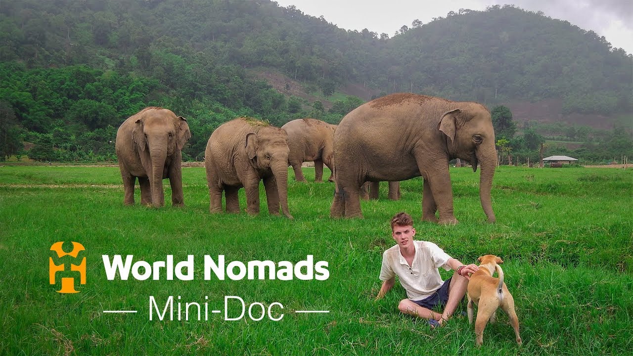 An Elephant Ambassador's Quest For Kindness &ndash; A Film by Ben Durham