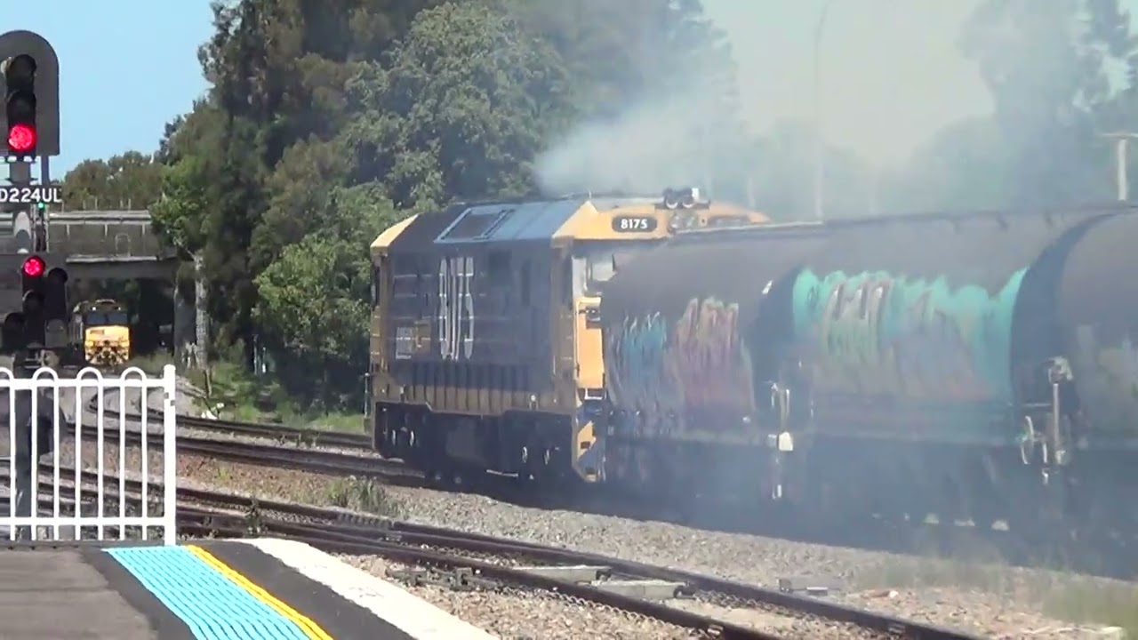 8175=Maitland