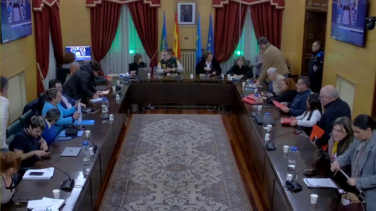 Pleno ordinario  29/12/2025