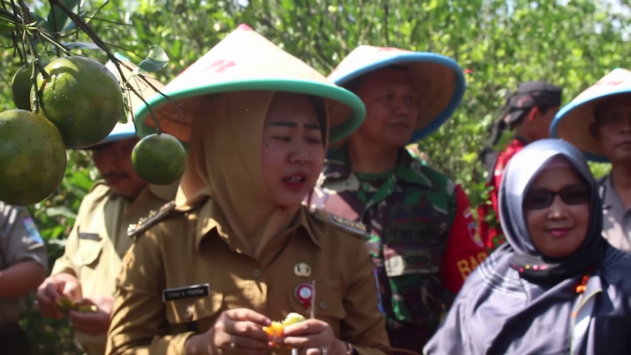 Petik Buah Bareng Bupati di Botania Garden