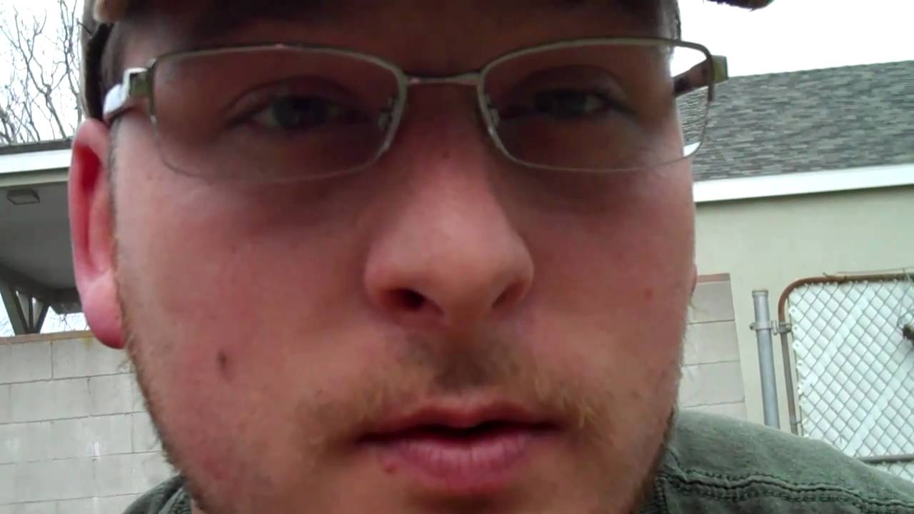 Pest - Ant Problem - March 19, 2011