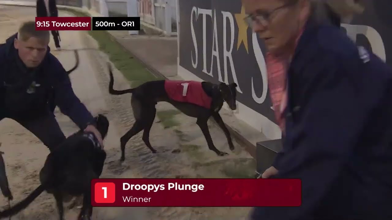 2025 DERBY FINAL - DROOPYS PLUNGE