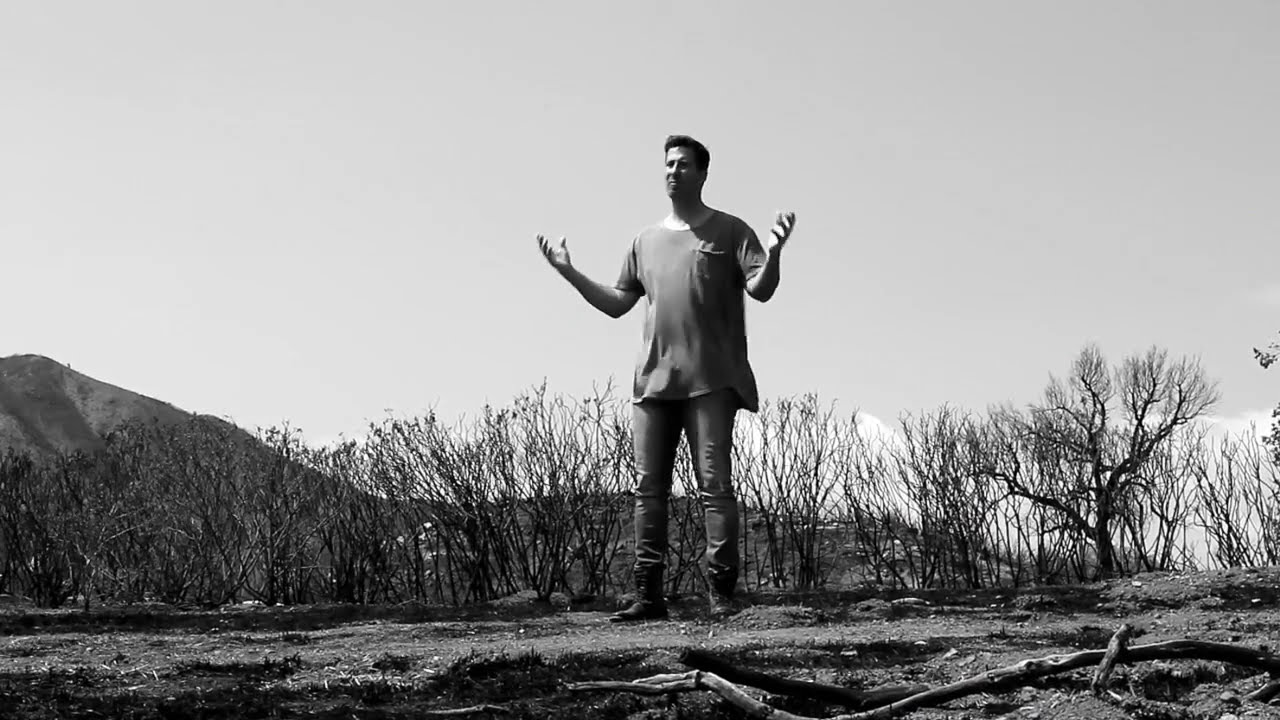 What is Revival?
