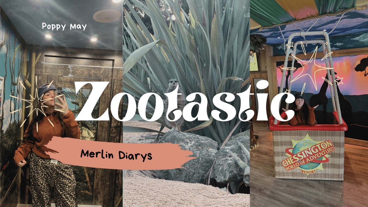 My Experience at Zootastic | Chessington World of Adventures Zootastic Weekend 🦒🦓