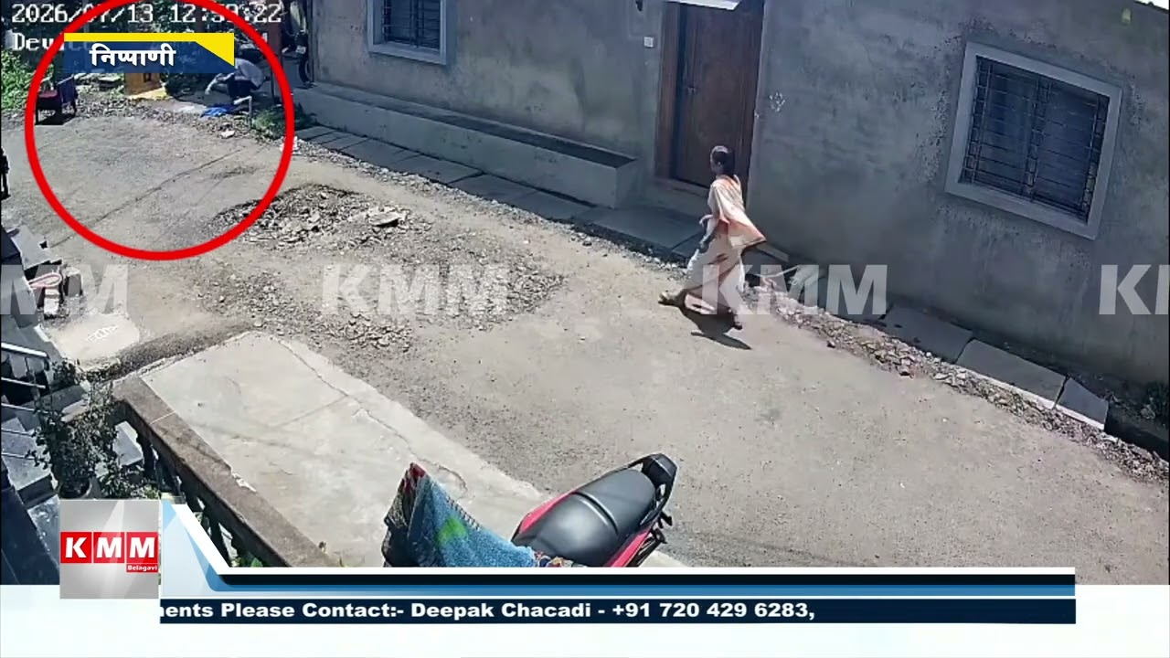 Rabid Dog Terror in Nipani &ndash; Over 10 People Bitten, Panic in Belagavi City