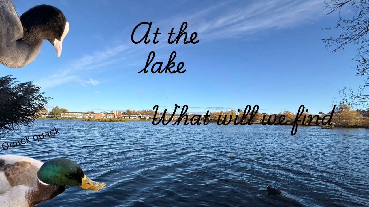 Relaxing Day by the Water &ndash; Killingworth Lake Walk & Wildlife.