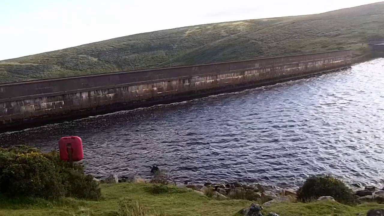Fly fishing for wild brown trout on the Avon Dam South Dartmoor